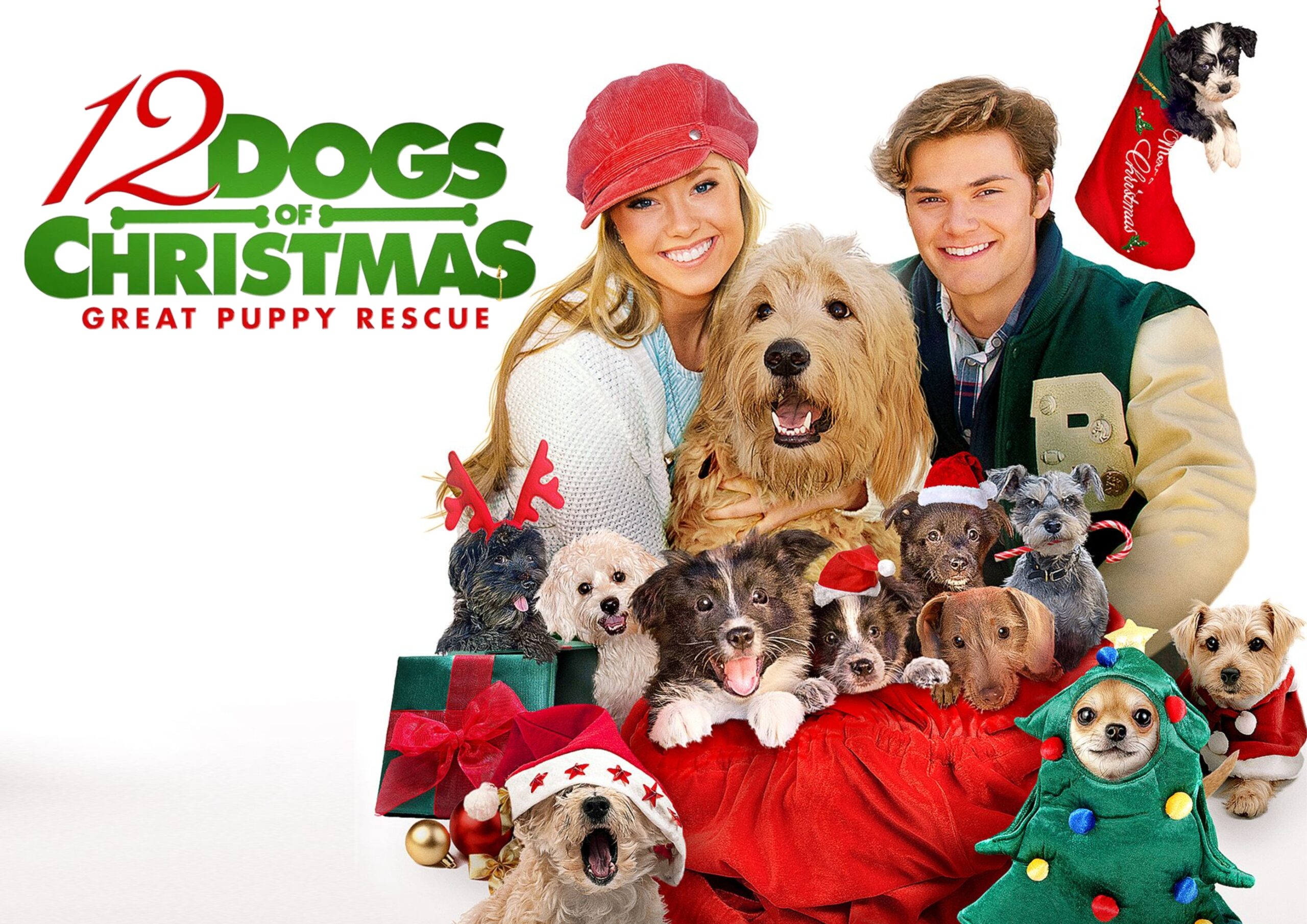 Festive Film Night: 12 Dogs Of Christmas: Great Puppy Rescue