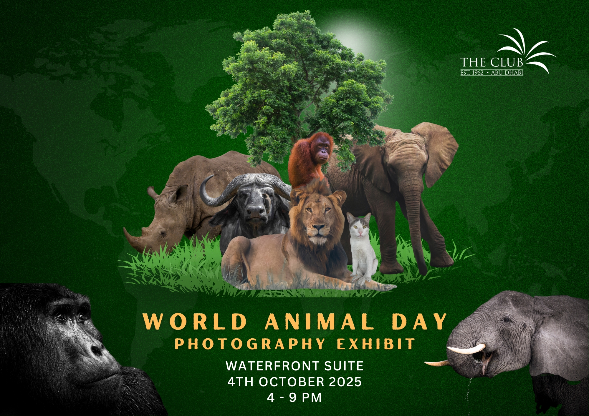 World Animal Day Photography Exhibit