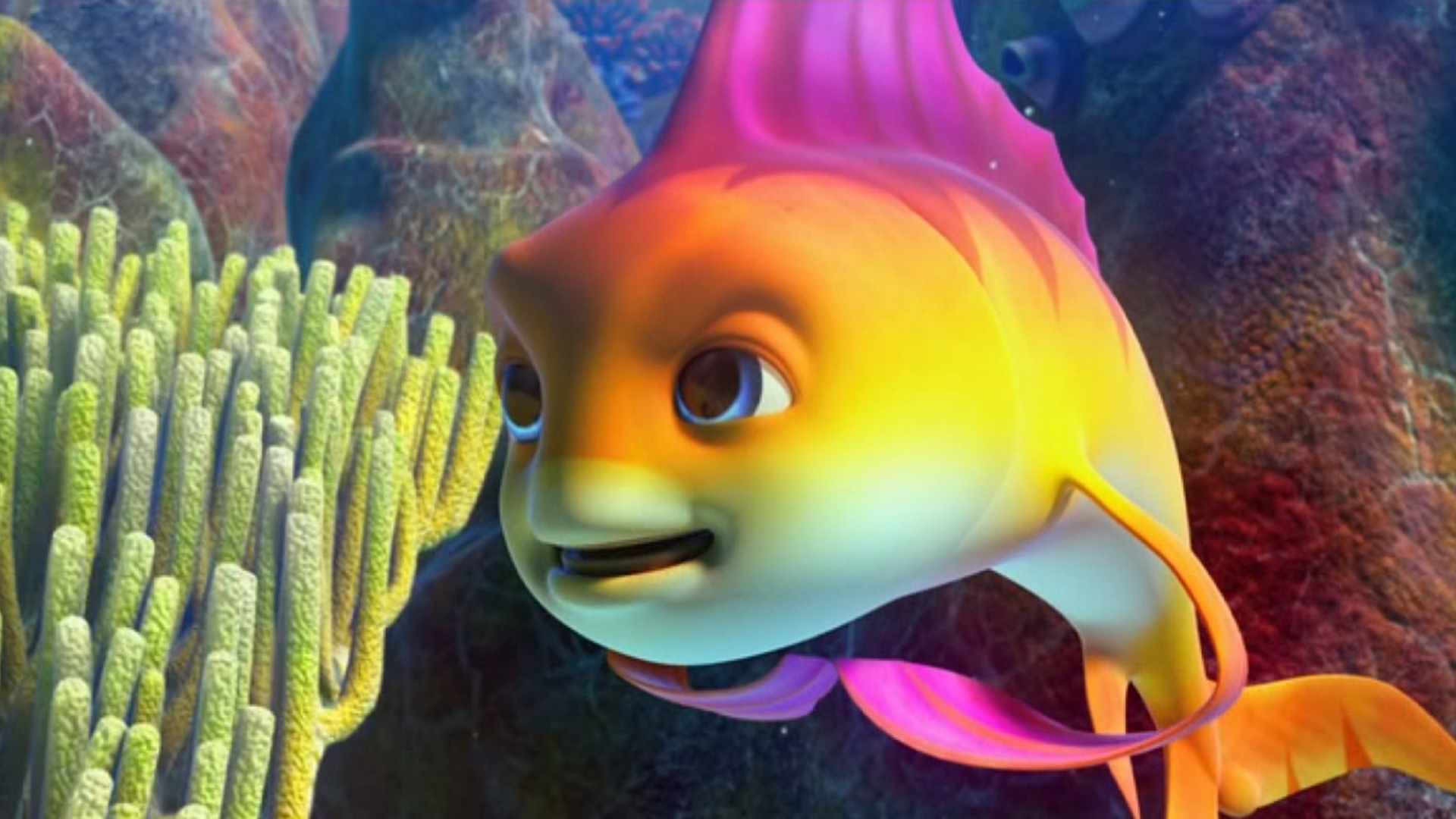 Family Film | The Reef 2